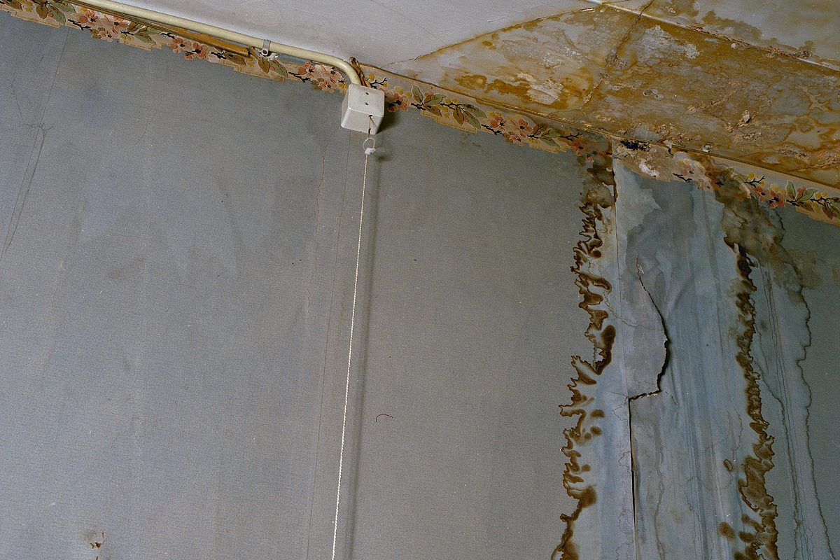 Encuentro de pared y techo con regueros de agua descendiendo sobre el papel pintado