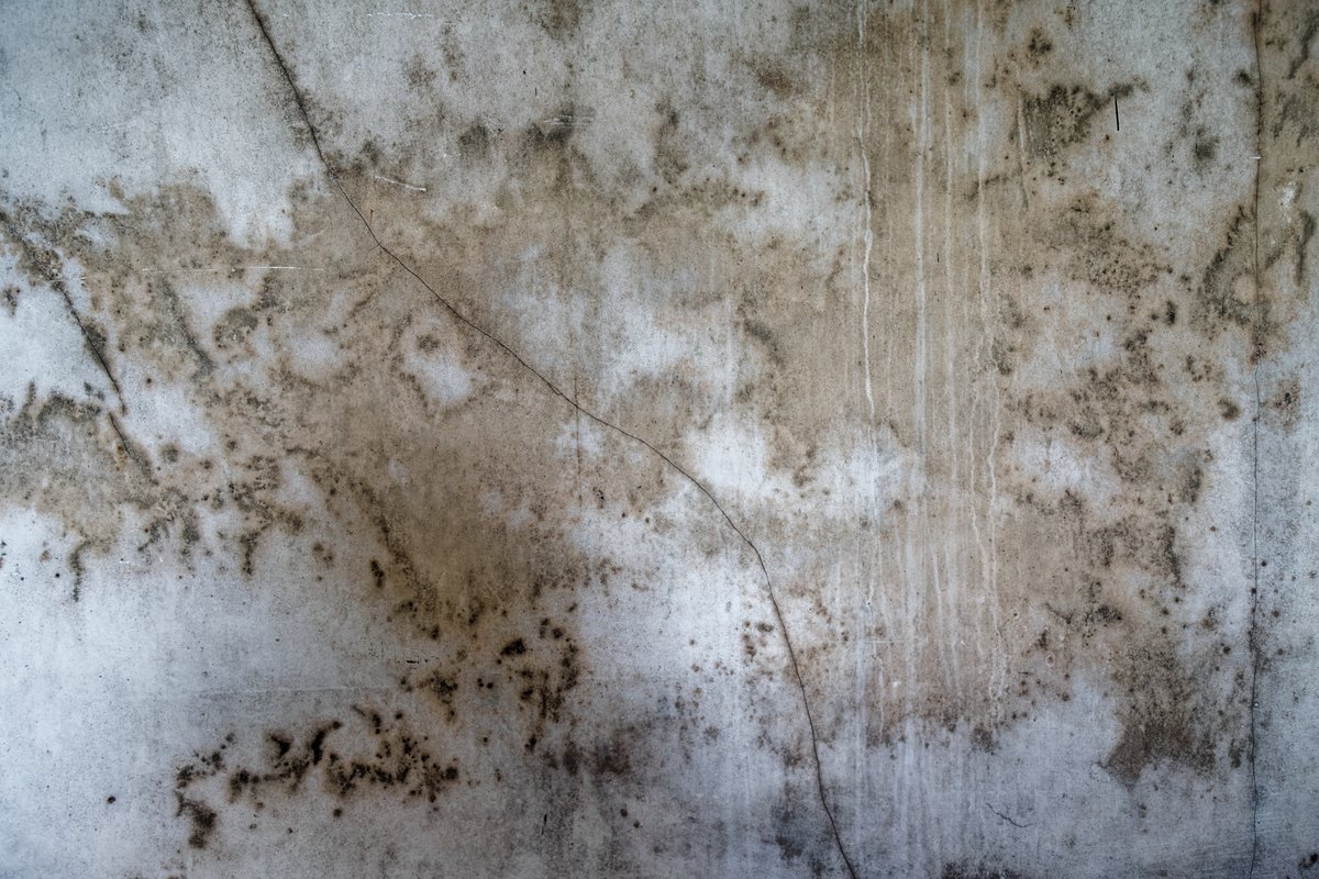 Pared interior con una mancha de humedad de borde difuso y una fisura fina que la atraviesa