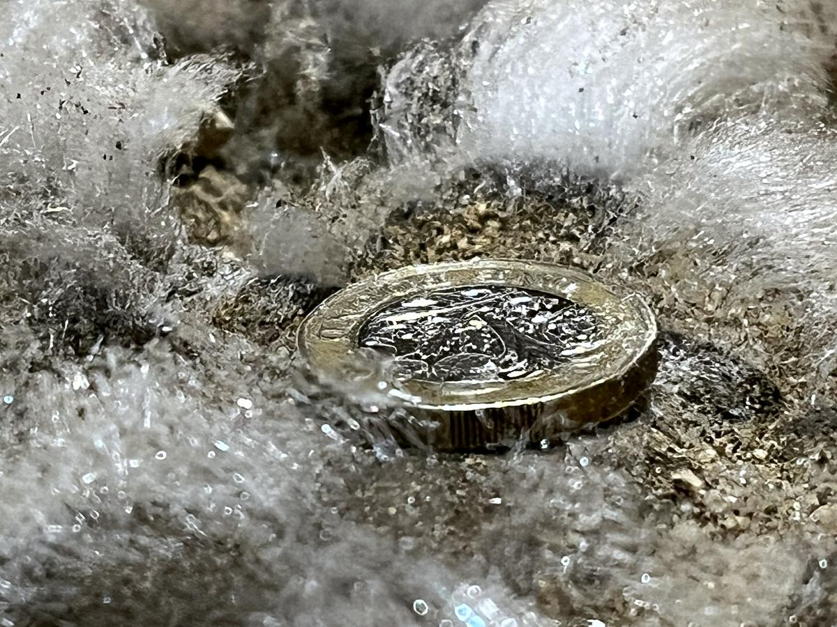 Cristales blancos de sal sobre un suelo de ladrillo, con una moneda apoyada al lado como referencia de tamaño
