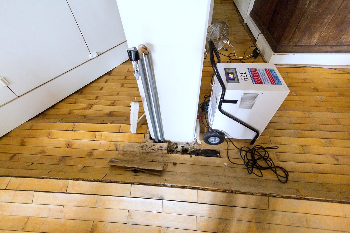 Lamas de parquet levantadas junto a equipos de deshumidificación y secado conectados en la sala